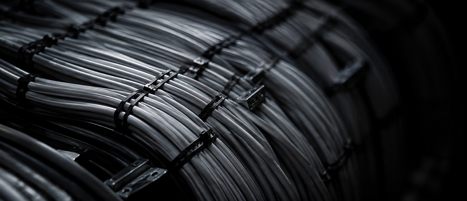 Close view of neatly bundled control cabling entering a distribution enclosure
